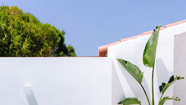 A person in a swimming pool with a white wall and a potted plant nearby.