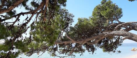 Playa en los alrededores