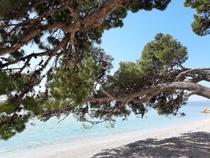 Plage à proximité