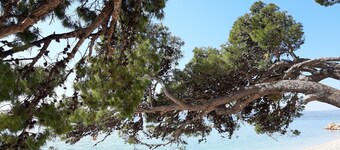 villa-dalmatina-zadar with pool 