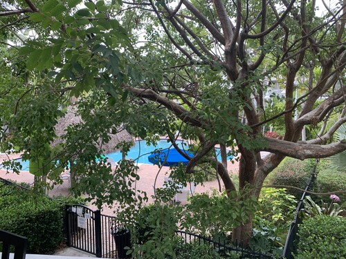 TORTUGA HAMMOCK -2 Bedroom/ 2.5 Bathroom Townhouse with Shared Pool & Parking