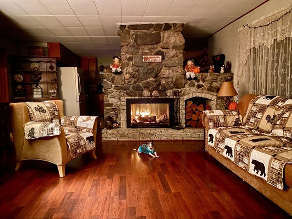 Smart TV, fireplace, DVD player