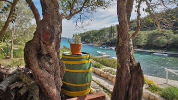 Apartment (Two Bedroom Apartment with Terrace an) | Terrace/patio