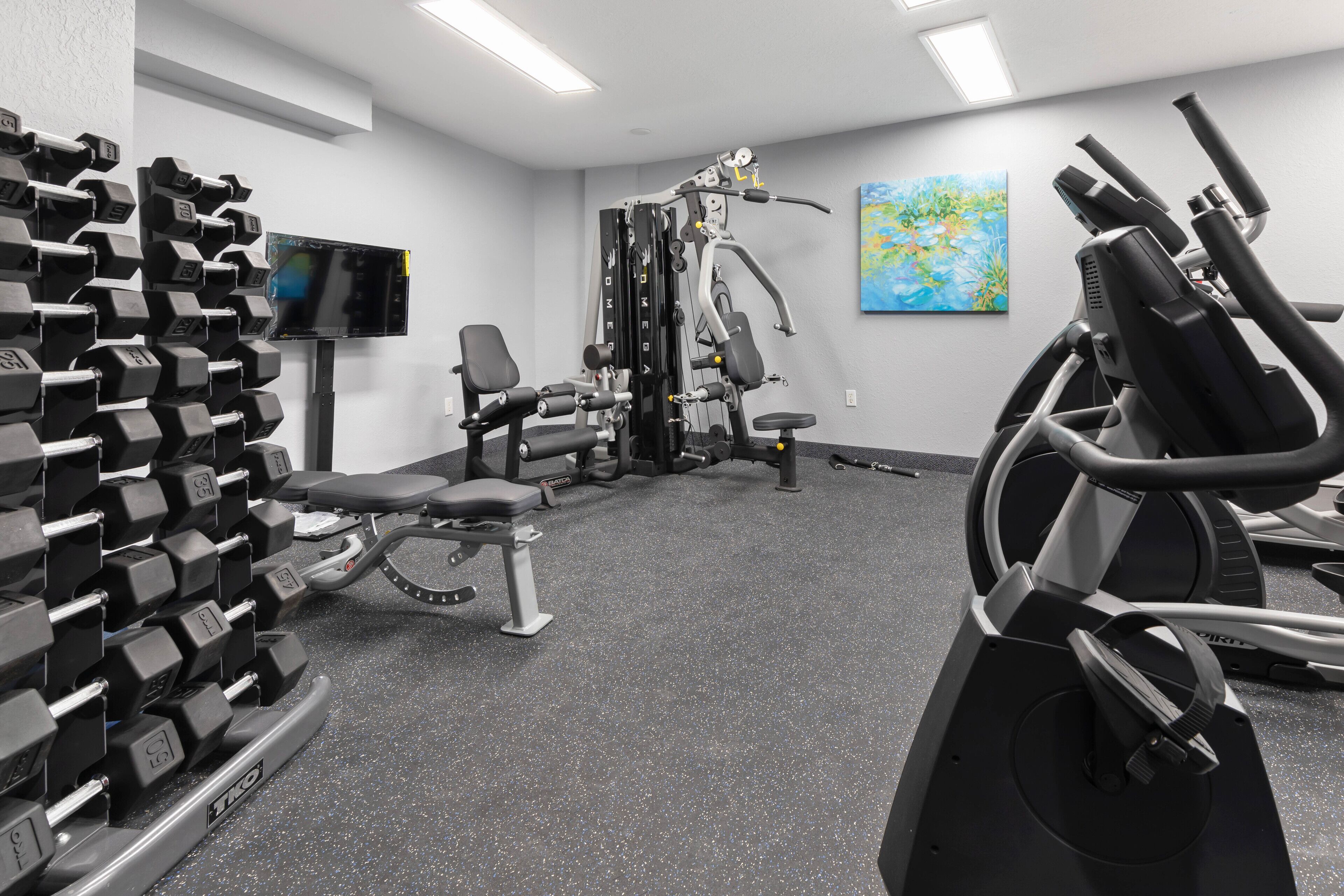 A gym with weight machines, dumbbells, and a treadmill.