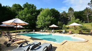 A swimming pool with lounge chairs and umbrellas, surrounded by trees.