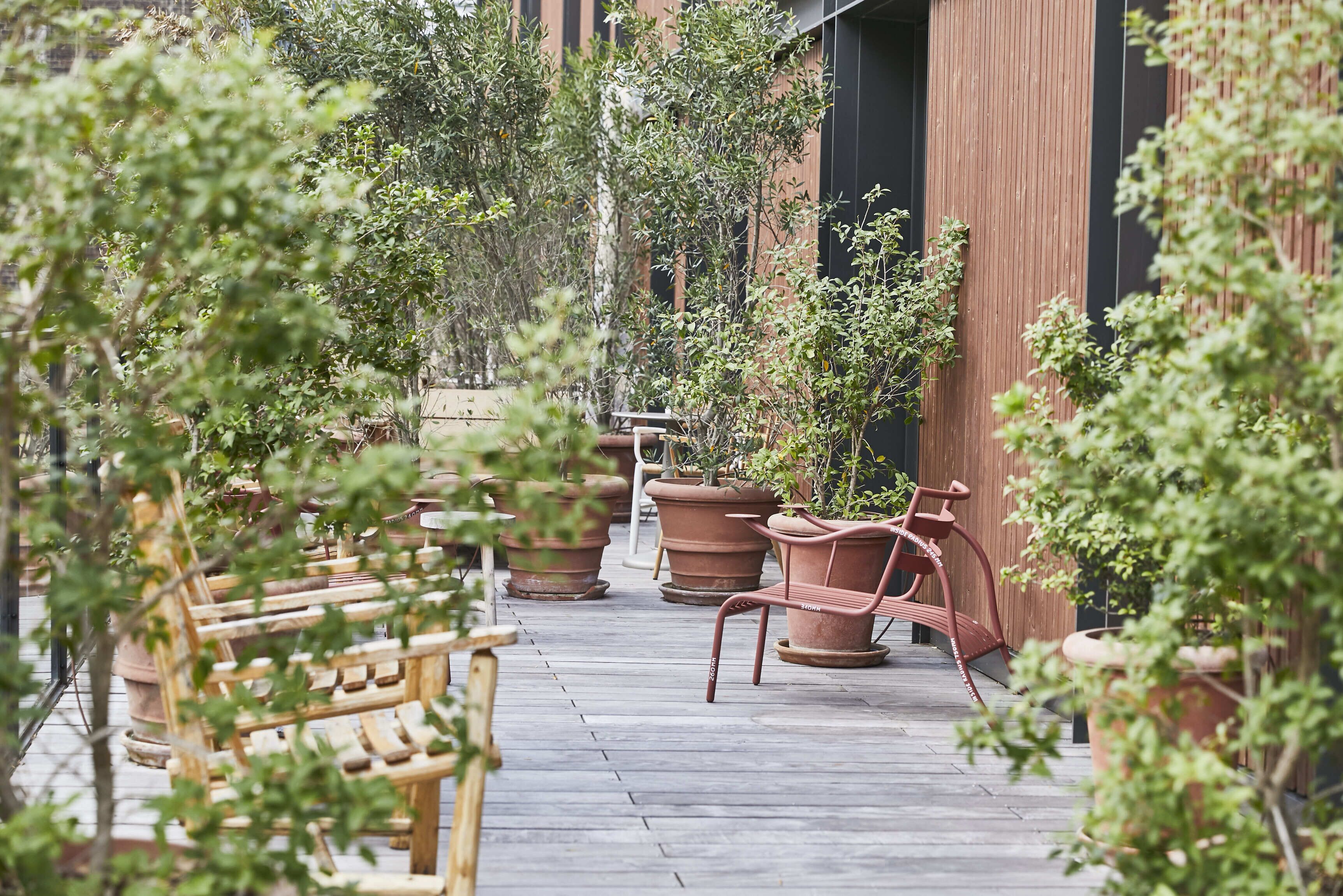 superior suite, terrace | terrace/patio