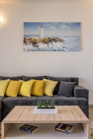 Smart TV, fireplace, books