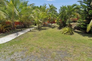 A garden with palm trees, a concrete path, and various plants.