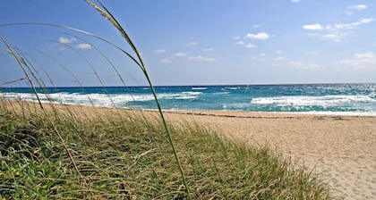 Casa Costa 308s Studio, Pools, Jacuzzi, Beach, Shops & Dog Friendly