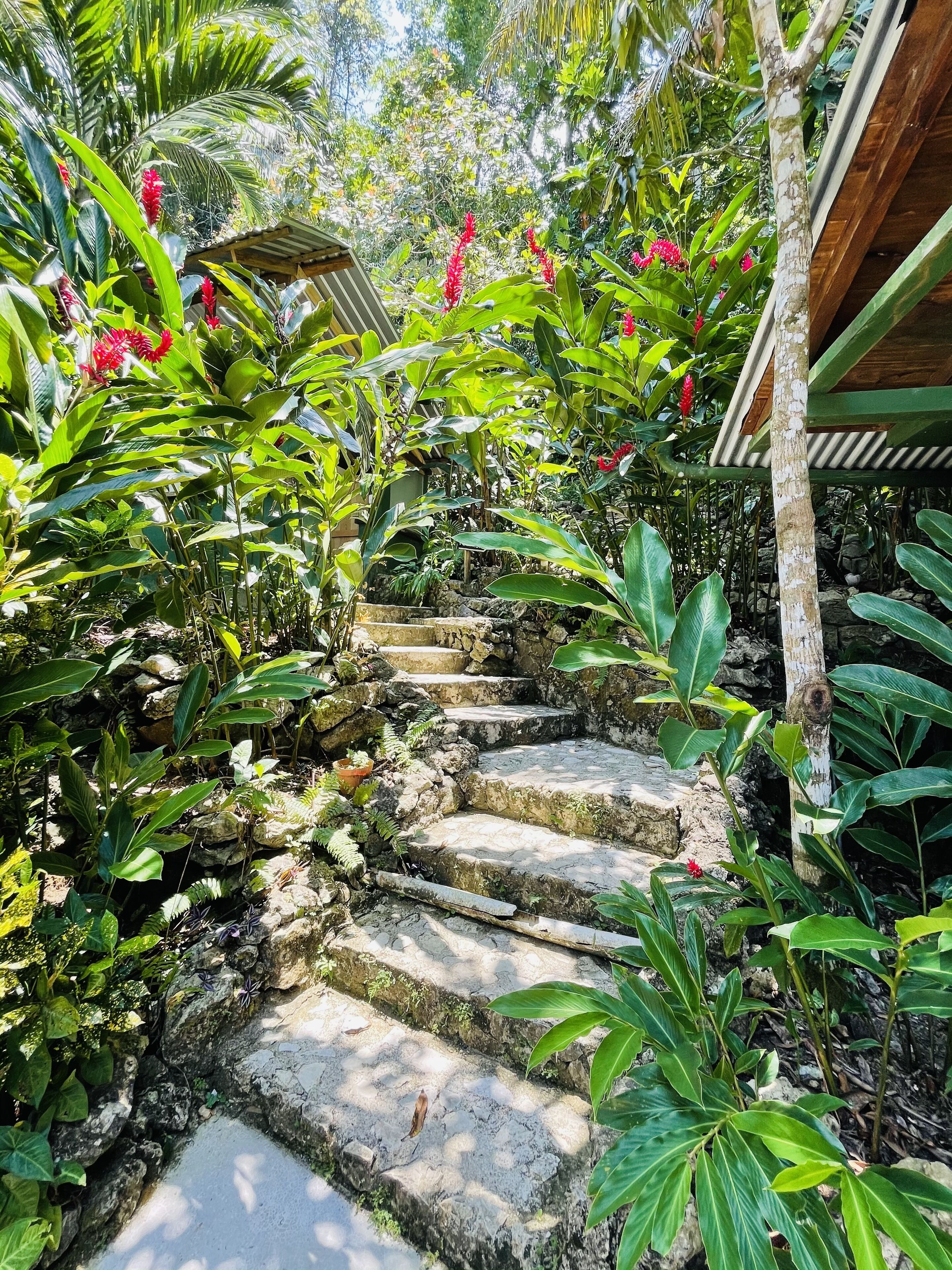 ファミリー 4 人部屋 | ガーデン ビュー