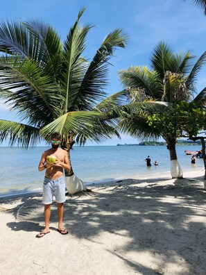 On the beach, black sand, beach shuttle, kayaking - Round House Hotel (Livingston)