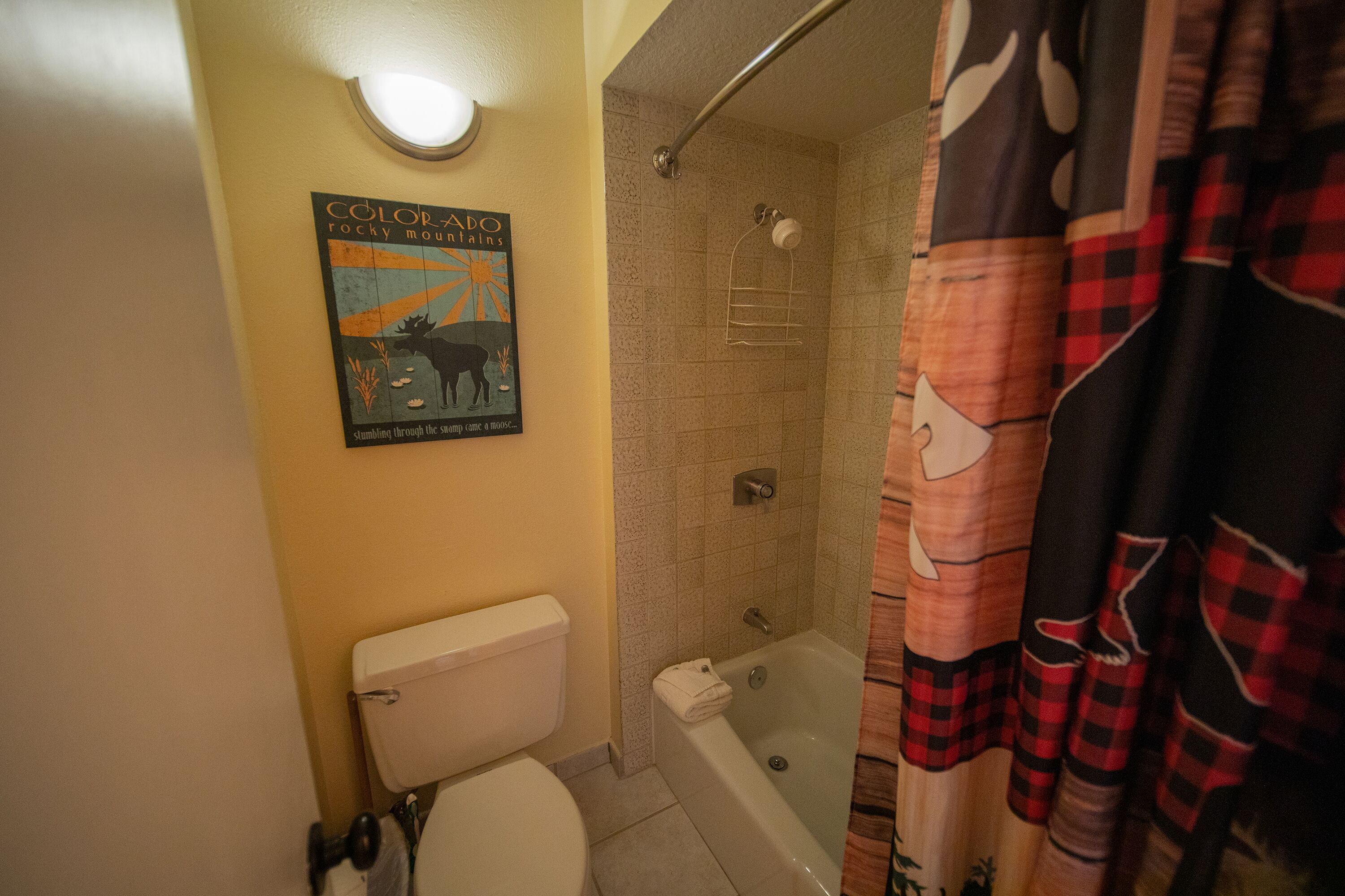 A bathroom with a toilet, a shower, and a bathtub. There is a poster on the wall and a curtain with a pattern.