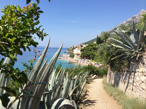 On the beach, sun-loungers