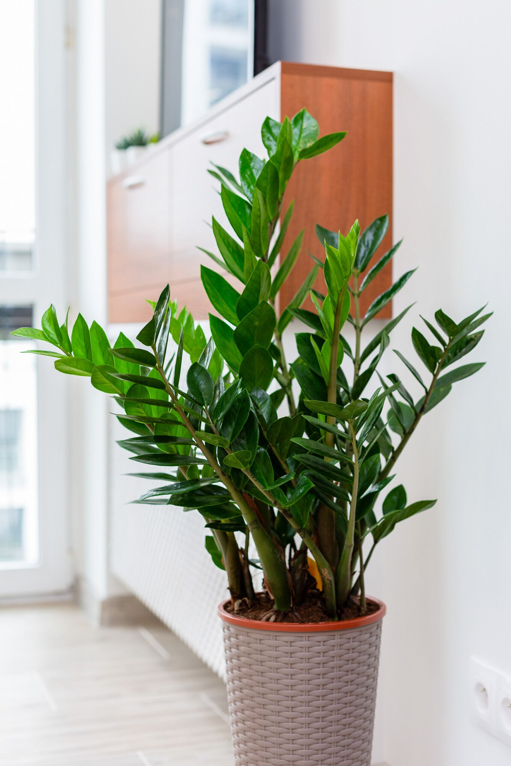 Foto - Apartment Grzybowska by Noclegi Renters