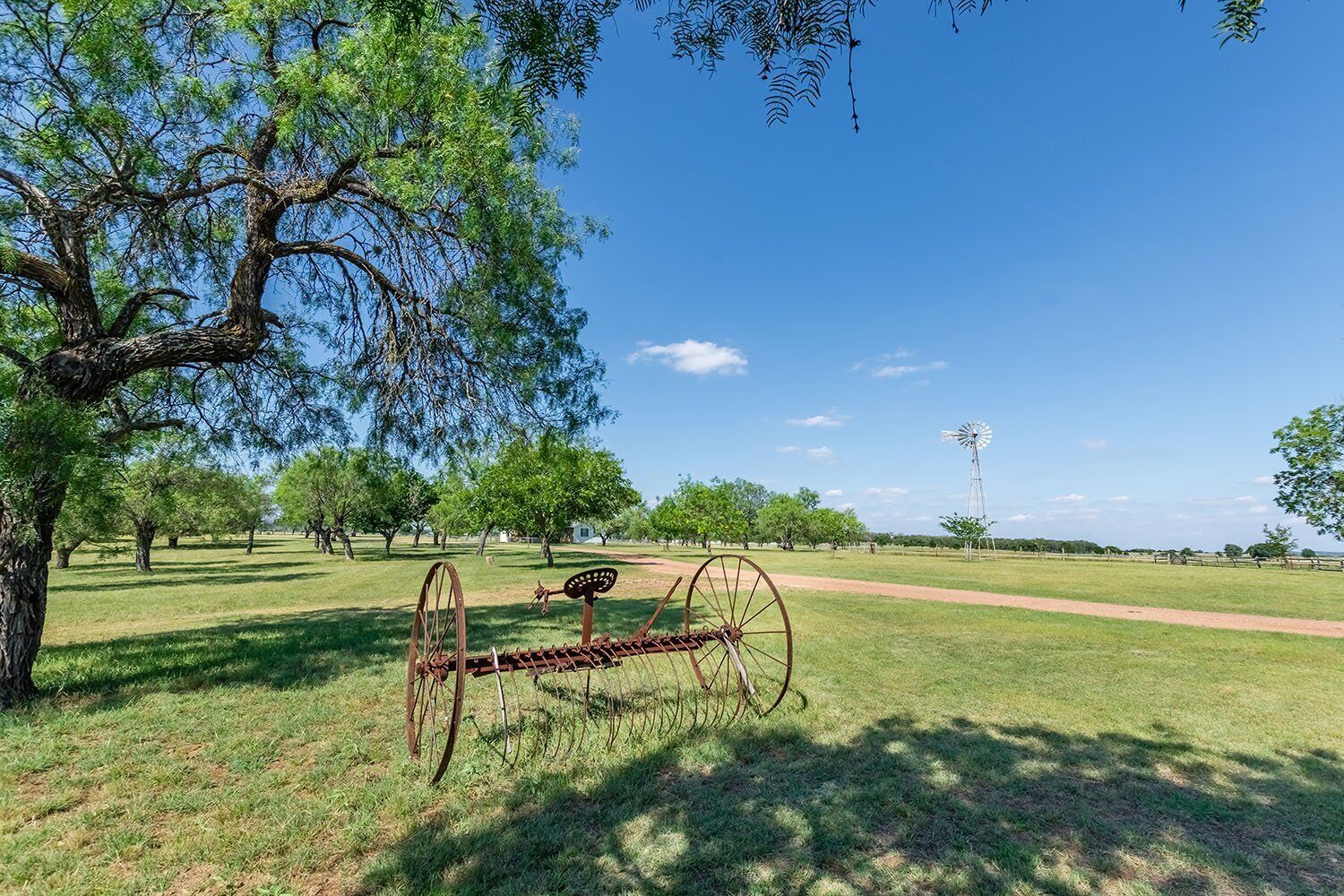 A rural landscape with a windmill, open fields, and scattered trees.