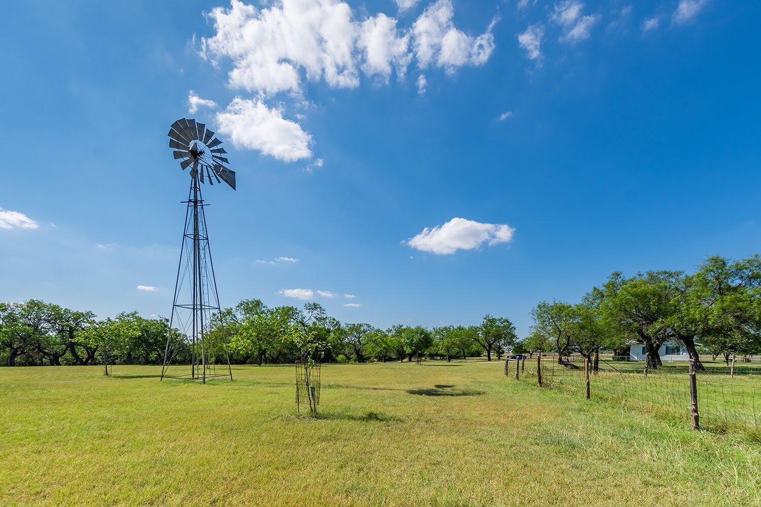 A windmill in a grassy field with trees and a clear sky.