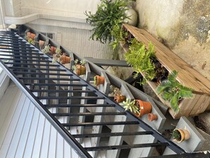Uma escadaria com diversos vasos de plantas nos degraus e uma caixa de plantio de madeira à esquerda.