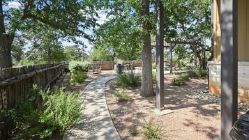 Terrain de l’hébergement 