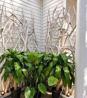 Detalle exterior