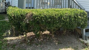 Ein zweistöckiges Haus mit überdachter Veranda, einer Treppe und einem gepflegten Heckenstreifen.