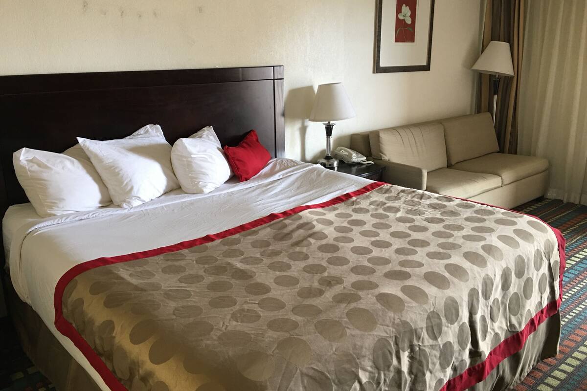 A hotel room with a bed, a bedside table with a lamp, a sofa, and a framed picture on the wall.
