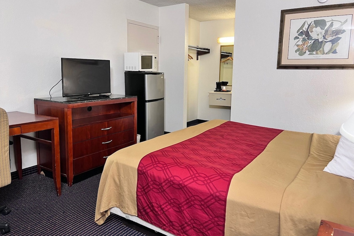 A hotel room with a bed, a desk with a television, a refrigerator, a microwave, and a framed botanical illustration on the wall.