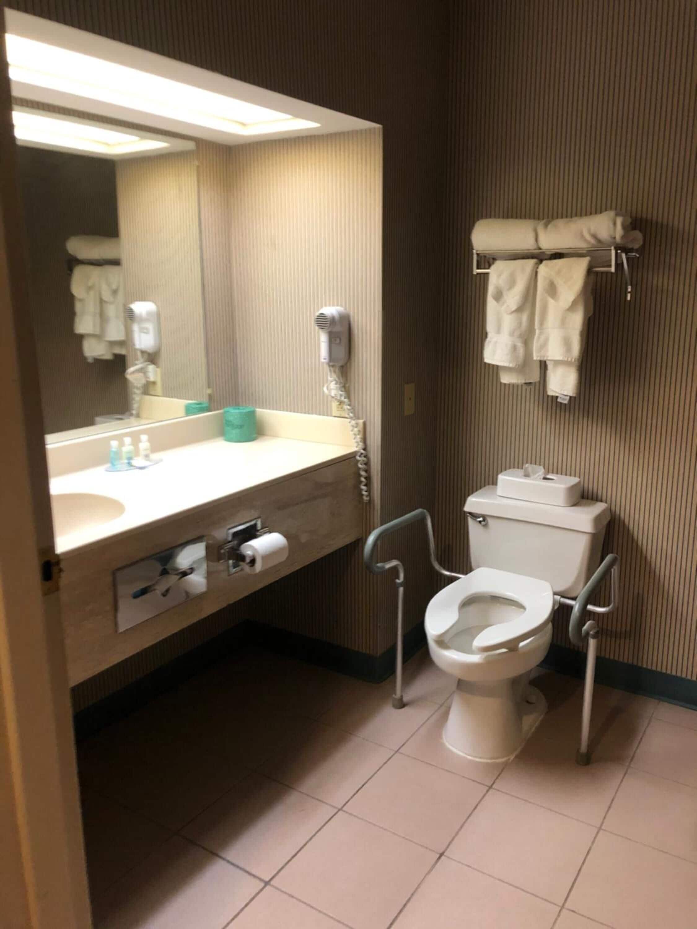 Et badeværelse med toilet, hårtørrer, håndklædestige og spejl.