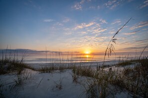 Een strand bij zonsondergang met duinen en grassen.