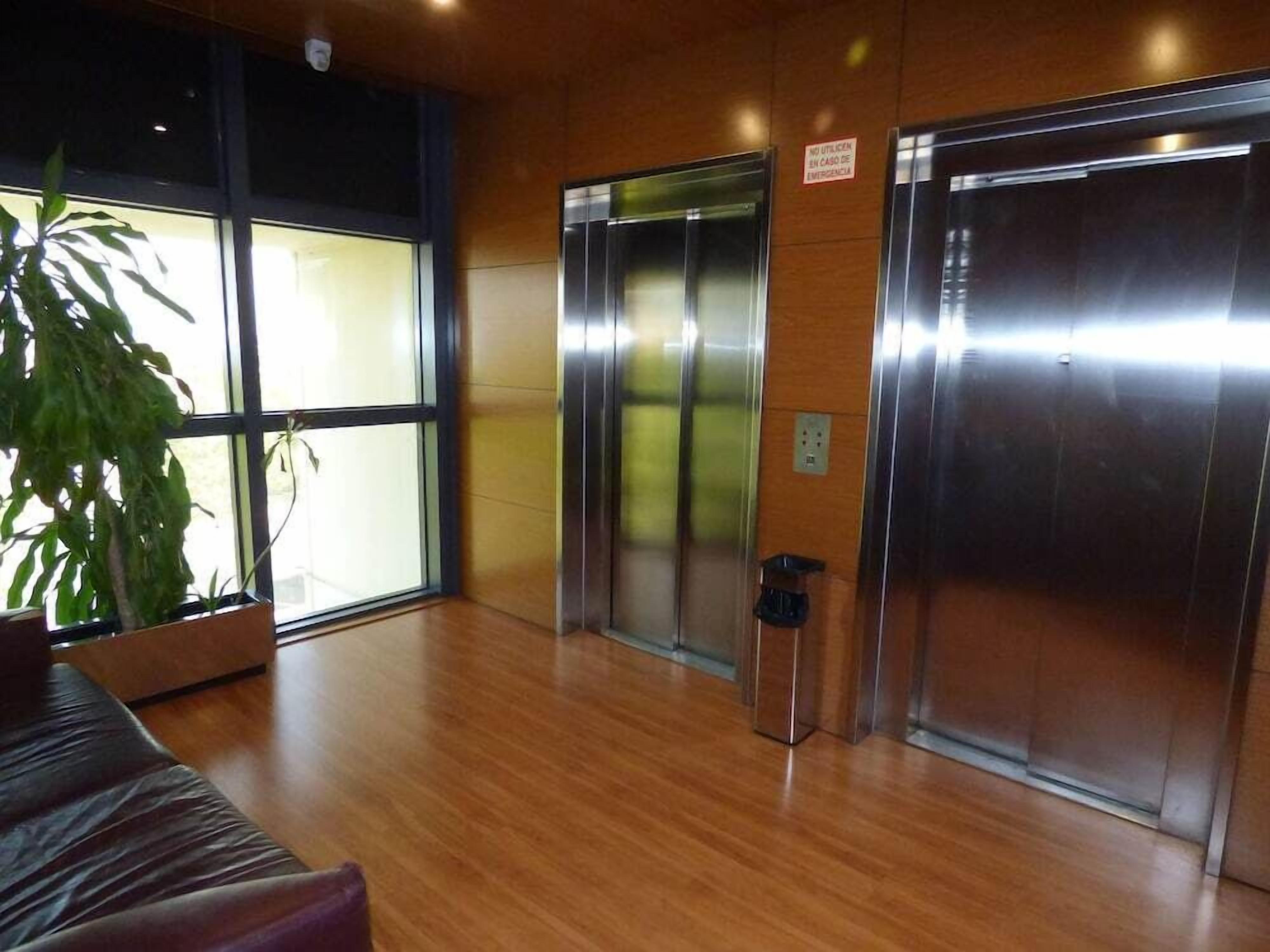Un área de ascensores moderna con dos ascensores, una planta en maceta y piso de madera.