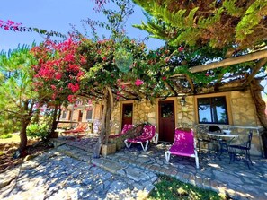 Área da propriedade