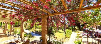 Quinta do Mar da Luz Aldeamento