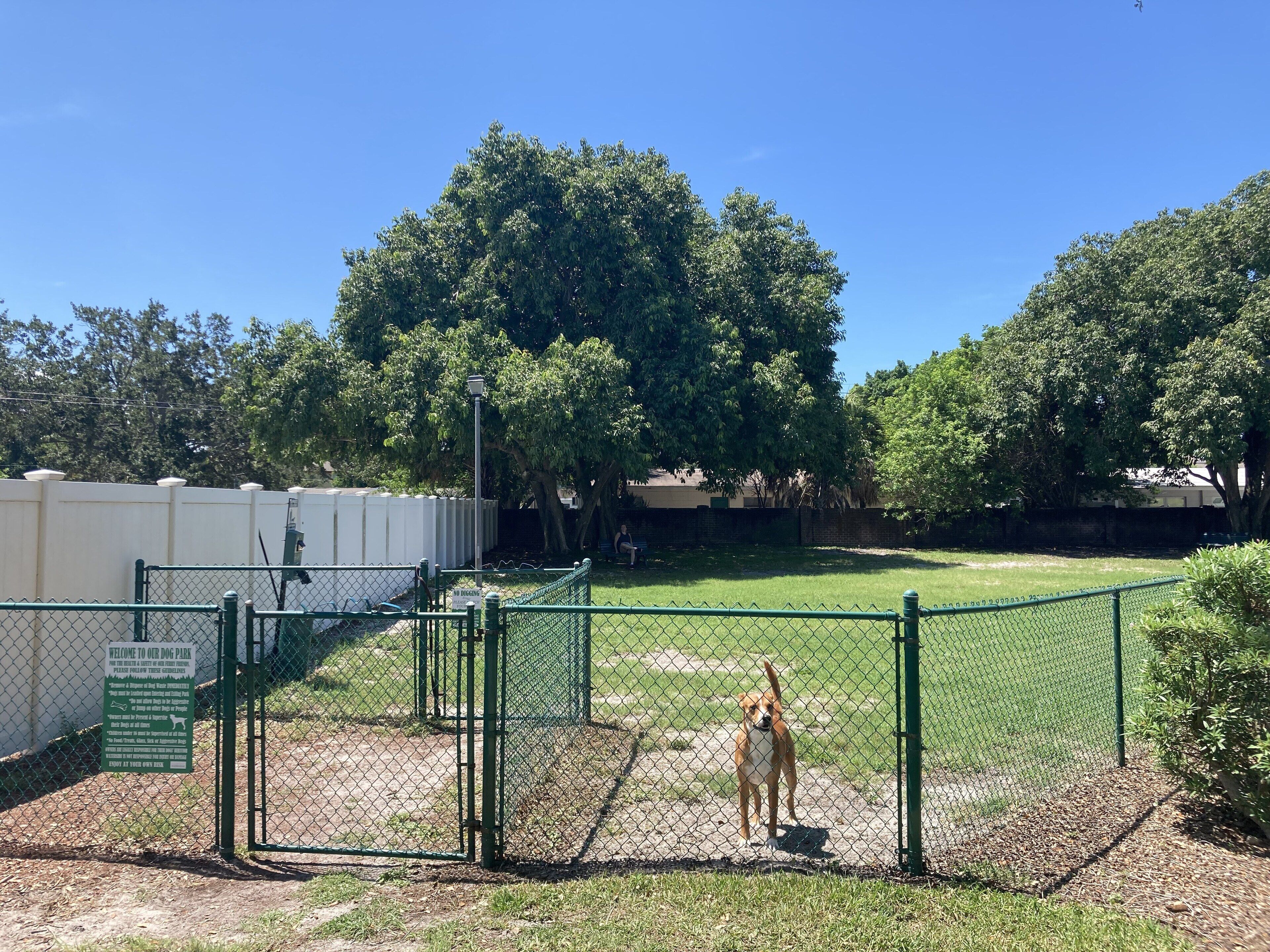 A fenced dog park with a green gate, a sign, and a dog standing inside.