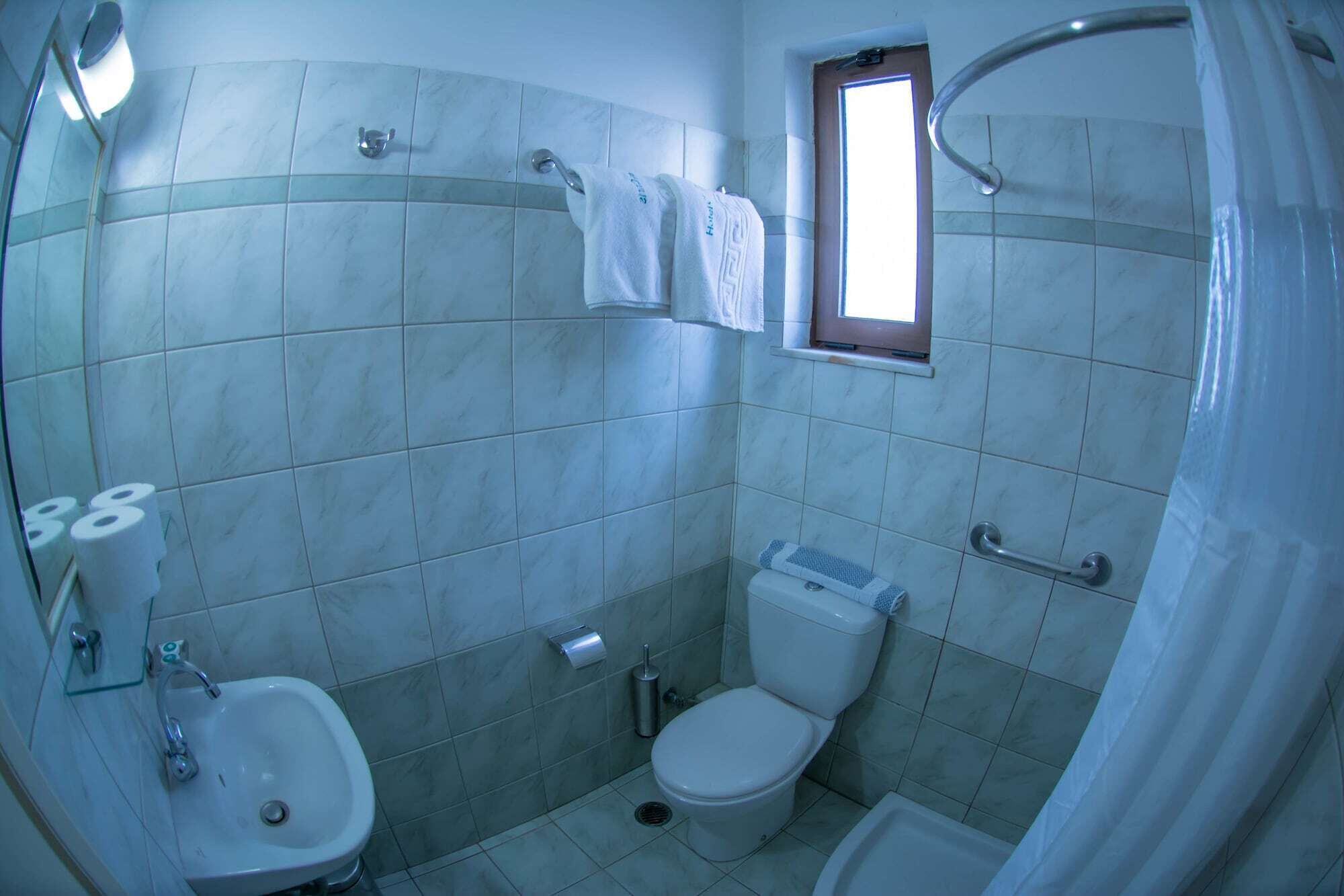 A bathroom with a toilet, bidet, and a shower area.