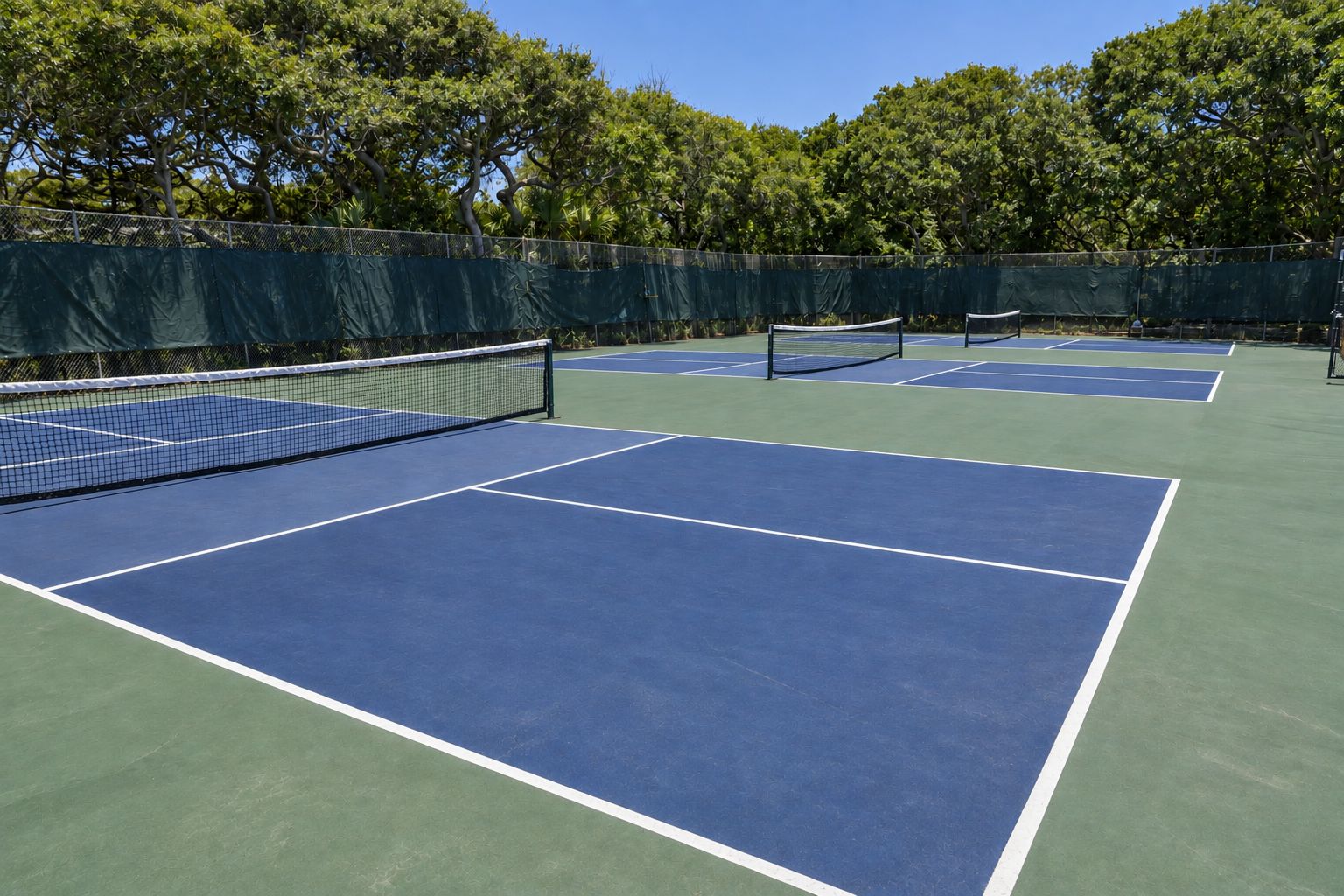 Un court de tennis avec un filet, entouré d’arbres et d’une clôture.