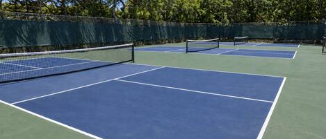 A tennis court with a net, surrounded by trees and a fence.
