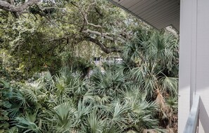 A garden with various plants and a tree. - 262 Sea Woods - 3/2 - Chic, Clean, and Close to Beach (New Smyrna Beach)