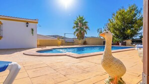 Ein Schwimmbecken mit einer sonnendurchfluteten Terrasse, einem Stuhl und einer dekorativen Gans-Statue.