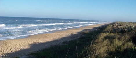 Playa en los alrededores