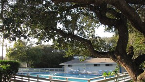 A swimming pool with a wooden deck, surrounded by lush greenery and a large tree. - 4305 Sea Woods Home 3/3.5 - Stay Salty, Sleep Happy (New Smyrna Beach)