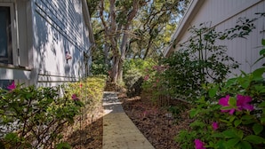 A narrow wooden pathway flanked by lush greenery and flowering plants, leading to a white building with a visible window and a small plaque. - 4305 Sea Woods Home 3/3.5 - Stay Salty, Sleep Happy (New Smyrna Beach)