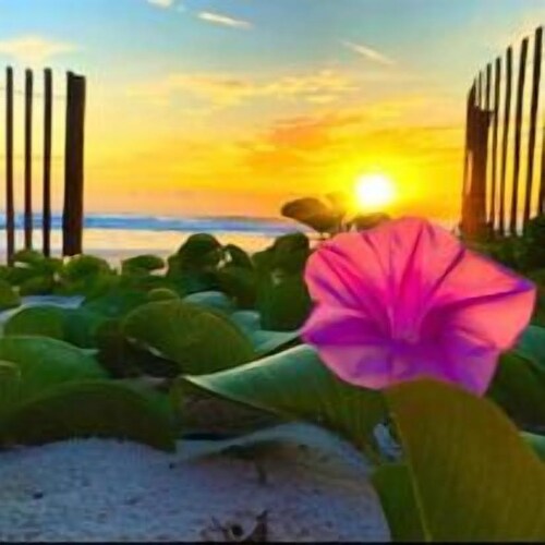 Ocean View 2 bedroom 2 bath, Ground Floor Unit, steps to Flagler Ave, sleeps 6- Win San Condominium