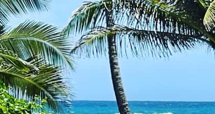 ❤️ Crystal Blue Beach villa feet in the water