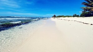 Une plage à l’eau claire, avec un rivage sablonneux et des palmiers.