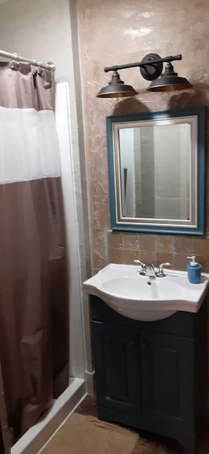 Combined shower/bathtub, hair dryer, towels, soap - 8th Street Blues! 3 Bed, 2 Bath near downtown LaCrosse (La Crosse)