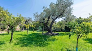 Overnattingsstedets uteområder