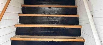 The Quirky but Cozy Nest