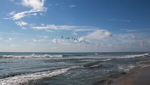 Ein Strand mit Wellen und Vögeln im Himmel.