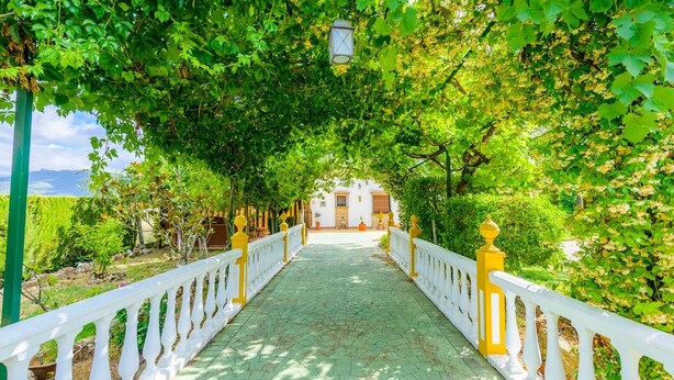 A pathway leading to a building with a white facade and yellow railings, surrounded by lush greenery. - La Torna Carcabuey by Ruralidays (Córdoba)