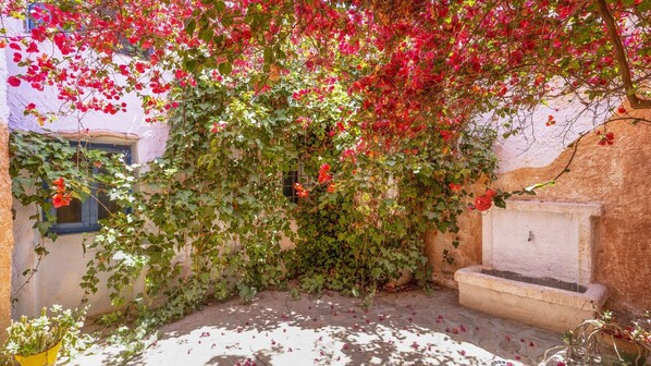 Terrain de l’hébergement 