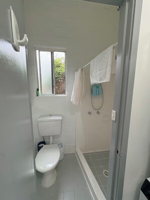 Kylpyhuone, jossa on wc, ikkuna, suihku ja pyyheteline.